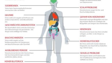 Die Auswirkungen von Stress auf die körperliche und mentale Gesundheit