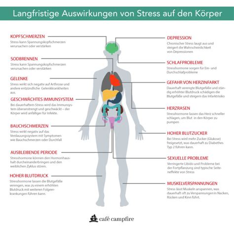 Die Auswirkungen von Stress auf die körperliche und mentale Gesundheit