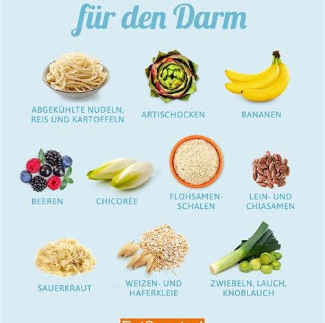 Die richtige Ernährung für ein gesundes Leben