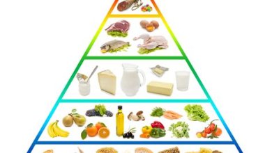 Gesunde Ernährung: Die Grundlagen