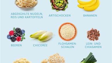 Gesunde Ernährung: Die besten Lebensmittel für ein starkes Immunsystem