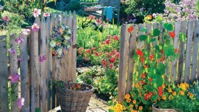 Blumengarten gestalten: Tipps zur Auswahl und Anordnung von Blumen