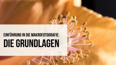 Einführung in die Makrofotografie