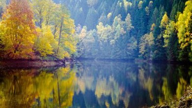 Tipps und Tricks für die Landschaftsfotografie