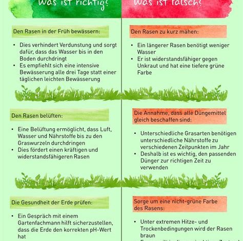 Rasenpflege 101: Die Grundlagen für einen grünen und gesunden Rasen