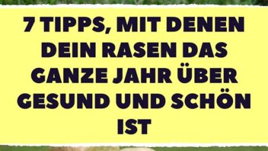 Rasenpflege: Wie man einen gesunden und grünen Rasen erhält