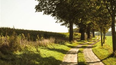 Landschaftsfotografie: Tipps und Tricks für atemberaubende Bilder