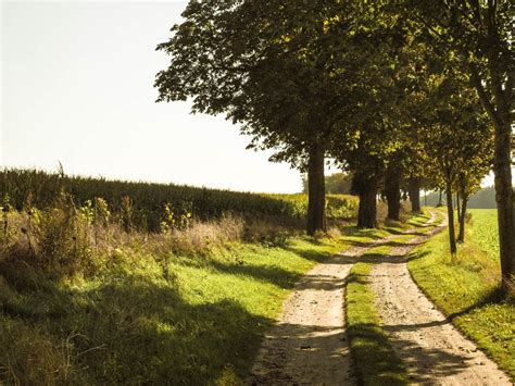 Landschaftsfotografie: Tipps und Tricks für atemberaubende Bilder