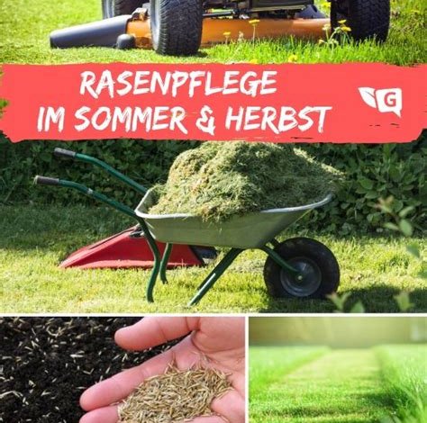 Rasenpflege: Erhalten Sie einen perfekt gepflegten Gartenrasen