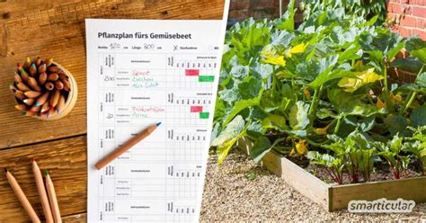 Der Gemüsegarten: Planung, Pflege und Ernte