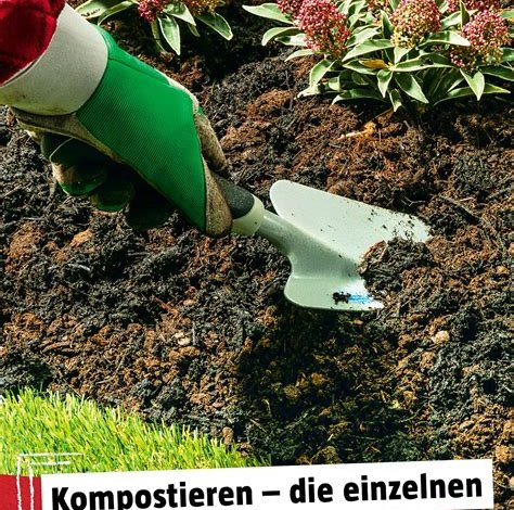 Tipps zur Gemüsegartenpflege: Vom Anbau bis zur Ernte