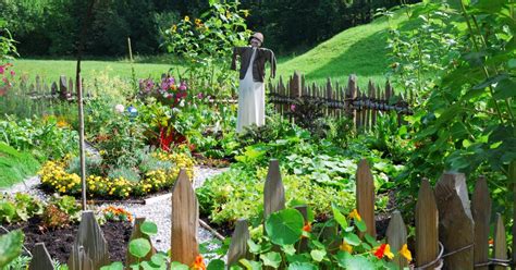 Der Gemüsegarten: Tipps für eine erfolgreiche Ernte