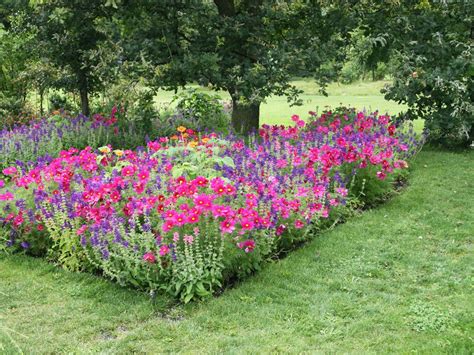 Blumengarten: Die schönsten Blumen für Ihren Garten