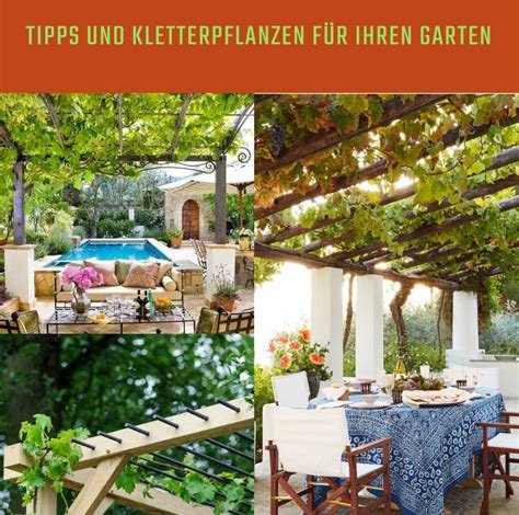 Gartendekoration: Ideen für einen einladenden Außenbereich