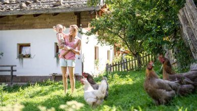 Urlaub auf dem Bauernhof: Erholung in der Natur