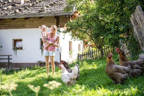 Urlaub auf dem Bauernhof: Erholung in der Natur