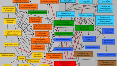 Die Rolle der Wissenschaft in der Bekämpfung globaler Herausforderungen