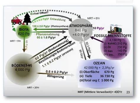 Die Rolle der Wissenschaft bei der Lösung globaler Probleme