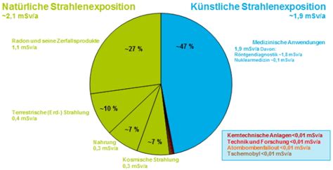 Die Anwendung von Wissenschaft in alltäglichen Situationen