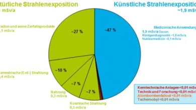 Die Anwendung von Wissenschaft in alltäglichen Situationen