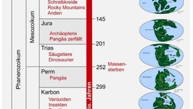 Die Entwicklung der Wissenschaft im Laufe der Geschichte