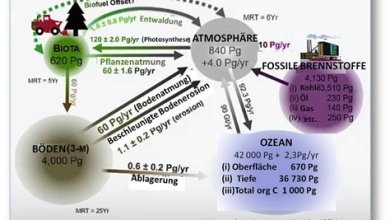 Die Rolle der Wissenschaft bei der Lösung globaler Probleme