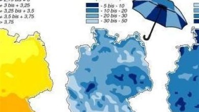 Die Zukunft der Wissenschaft: Trends und Prognosen