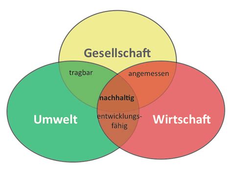 Die Verbindung zwischen Wissenschaft und Nachhaltigkeit